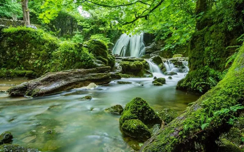 智能高端
